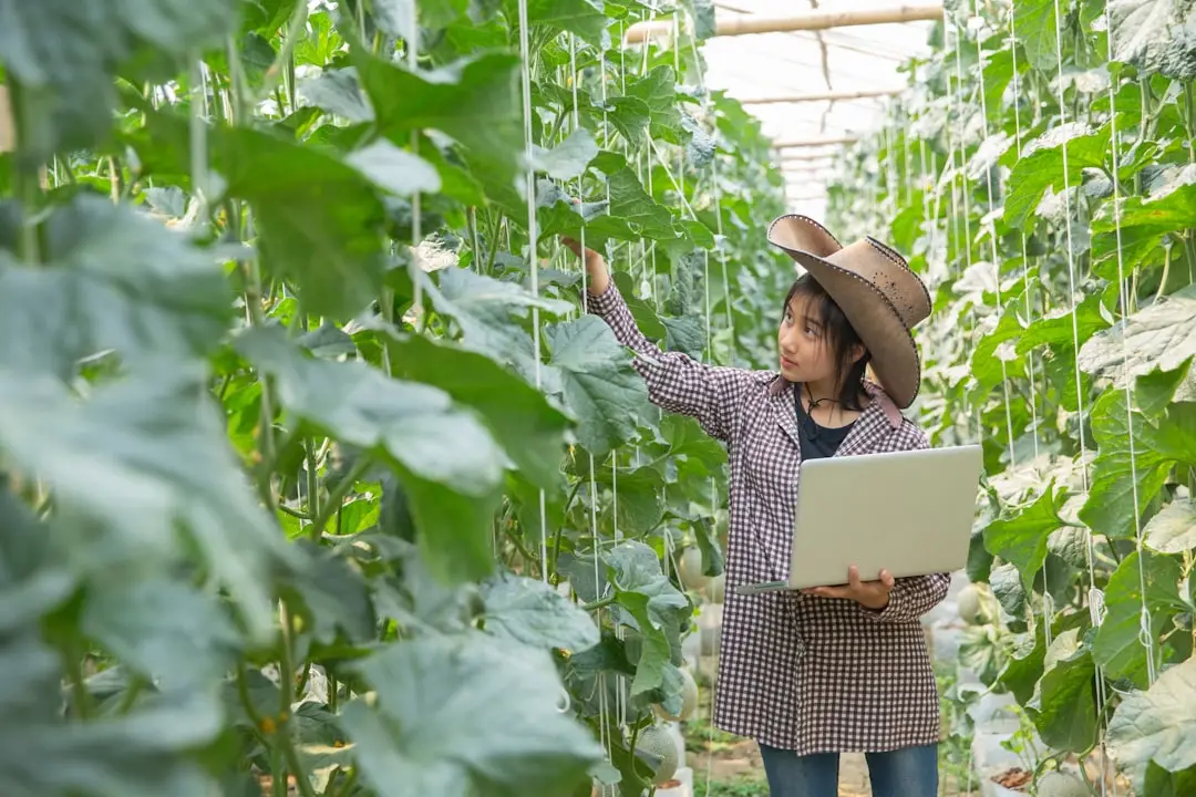 工程施工中劳务派遣风险管控与安康轩盛昌专业方案